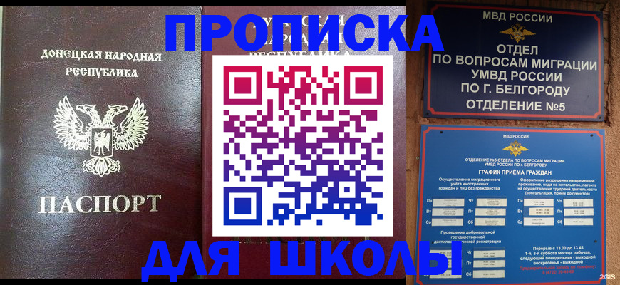 прописка для работы в Курчалом